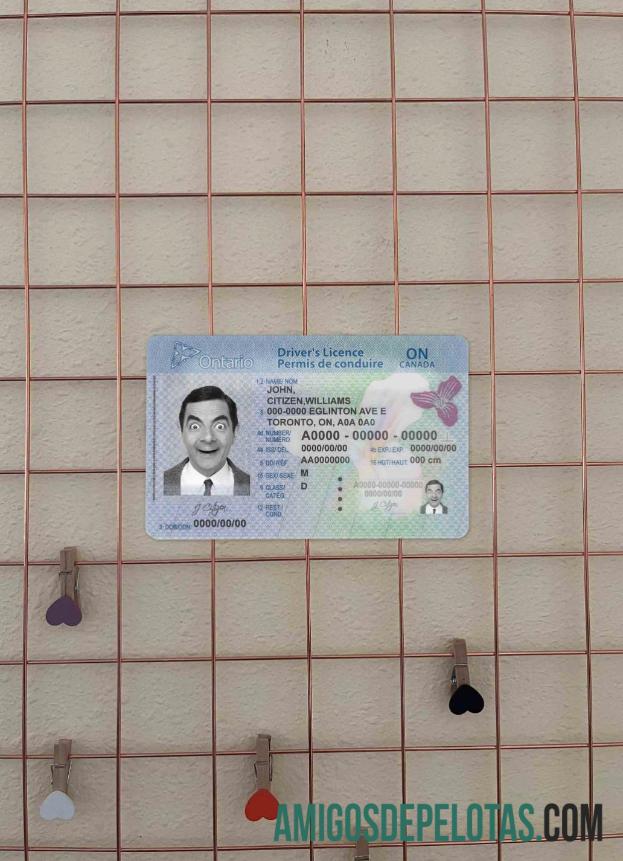 Canadá Ontario DL (2018 – Presente) fotolook frente amostra